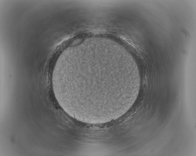 X0000115151398200912081337