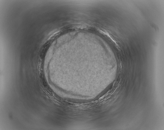 X0000115151399200912081337