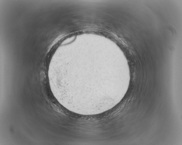 X0000115151400200912081337