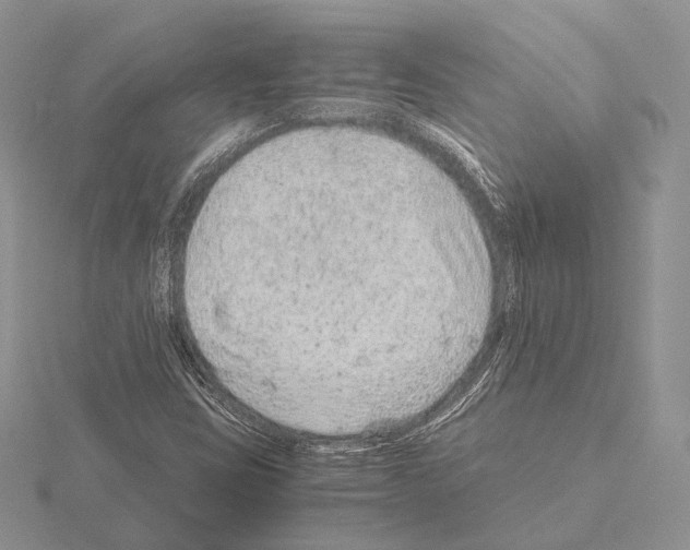 X0000115151403200912081337