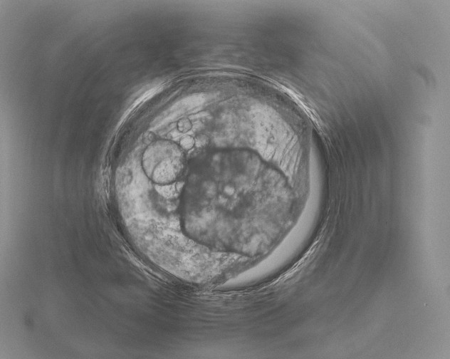 X0000115151405200912081337