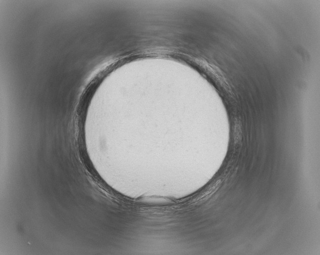 X0000115151406200912081337