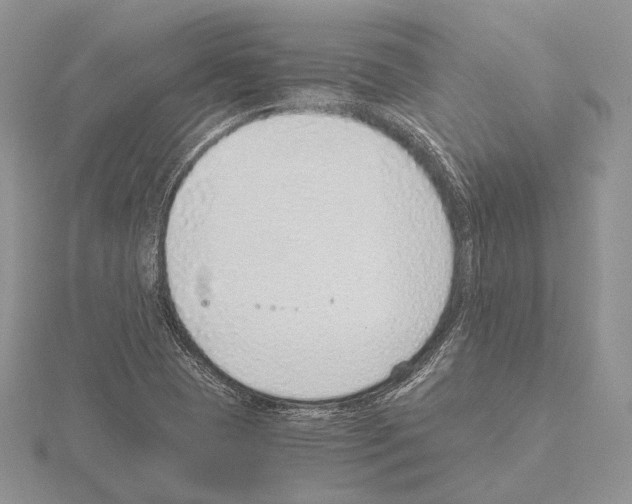 X0000115151409200912081337