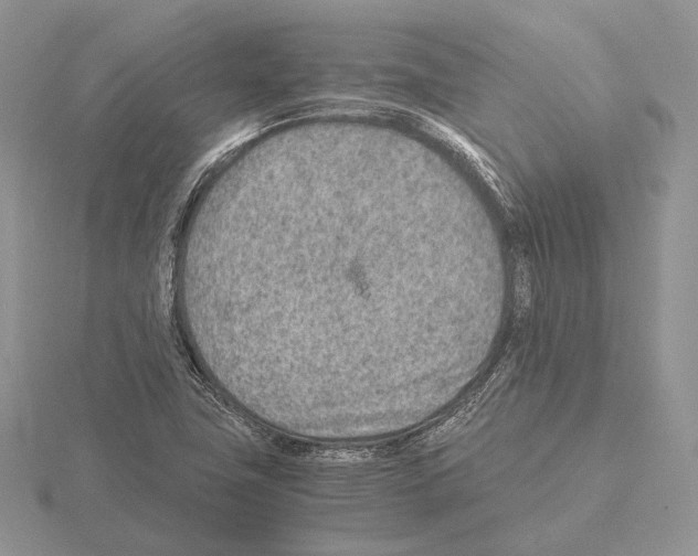 X0000115151411200912081337