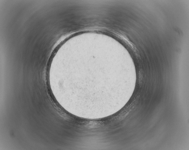 X0000115151412200912081337