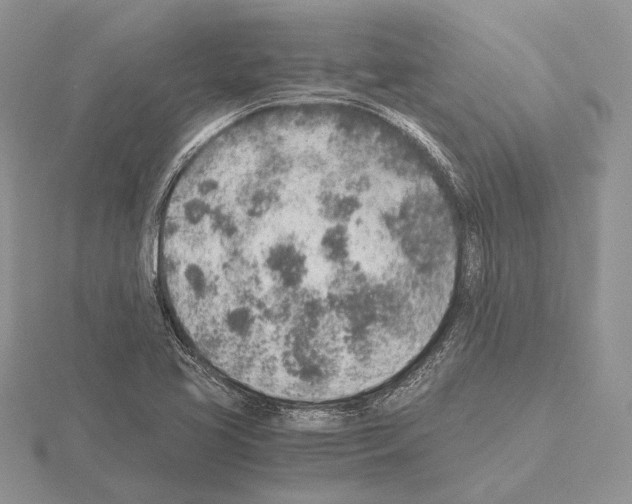 X0000115151413200912081337