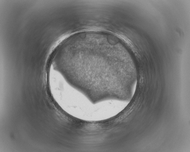 X0000115151414200912081337