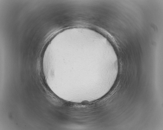 X0000115151415200912081337