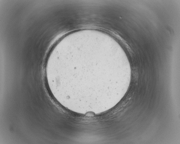 X0000115151416200912081337