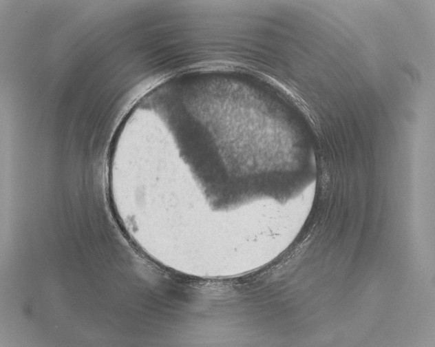 X0000115151418200912081337