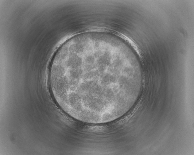 X0000115151419200912081337