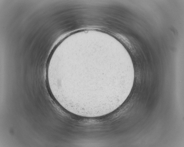 X0000115151420200912081337