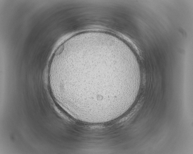 X0000115151421200912081337