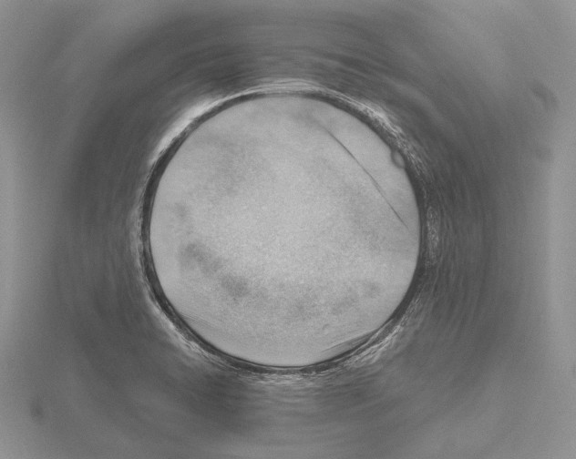 X0000115151422200912081337