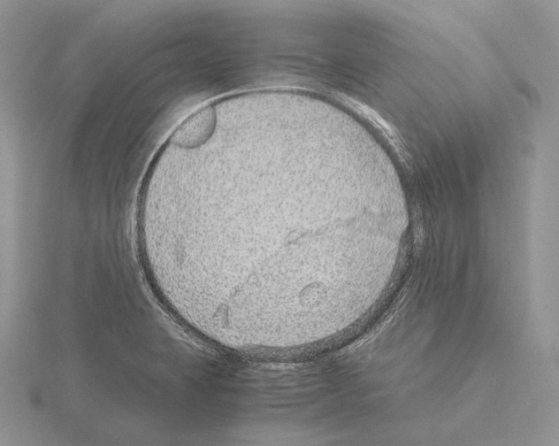 X0000115151423200912081337