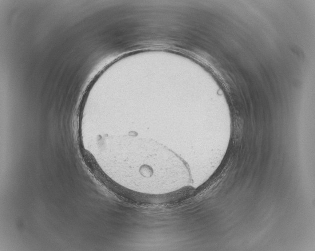 X0000115151424200912081337