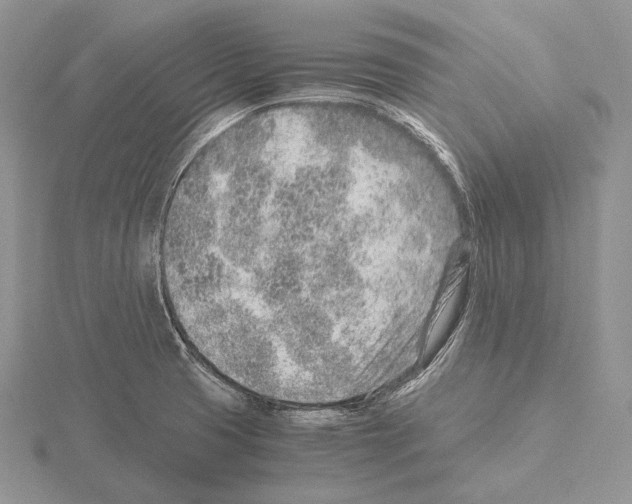 X0000115151425200912081337