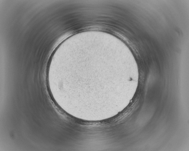 X0000115151426200912081337