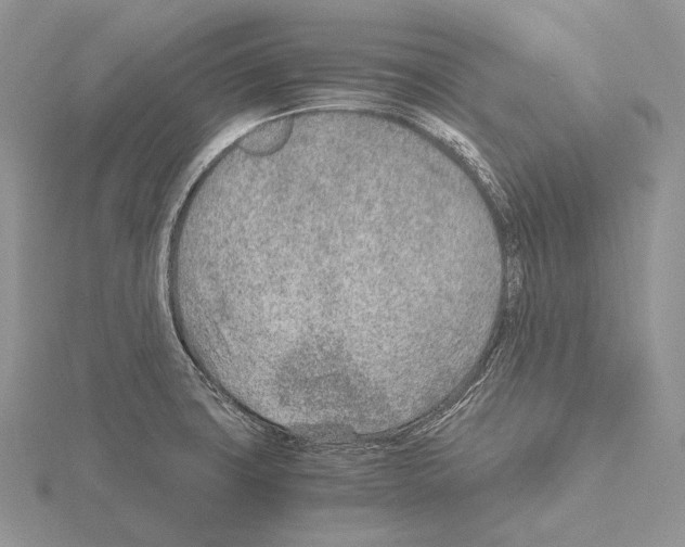 X0000115151427200912081337