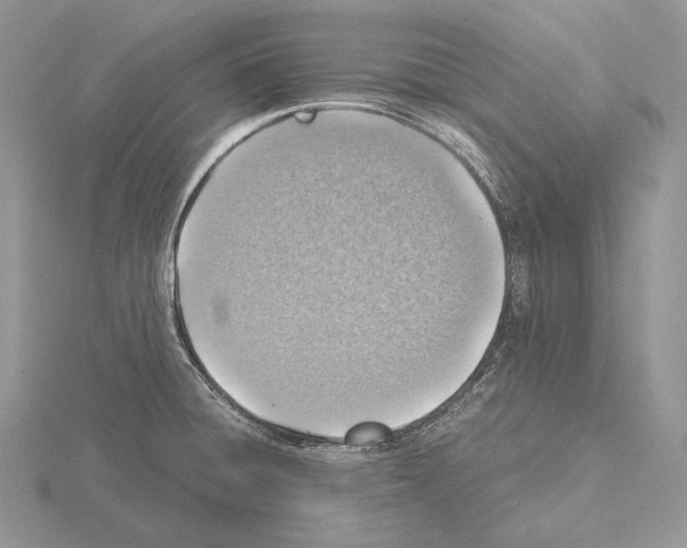 X0000115151428200912081337