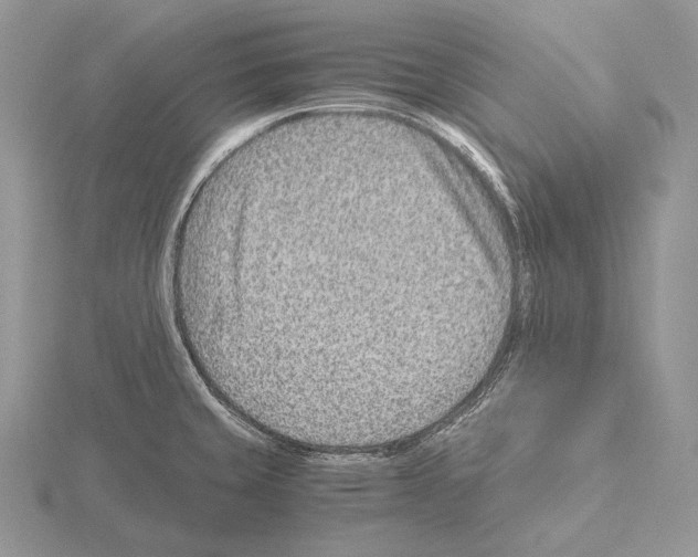 X0000115151429200912081337