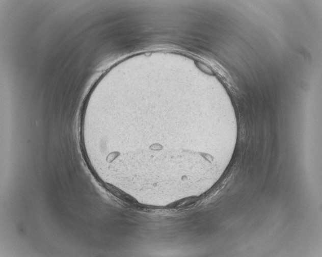 X0000115151430200912081337