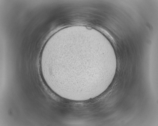 X0000115151431200912081337