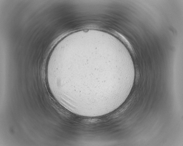 X0000115151435200912081337