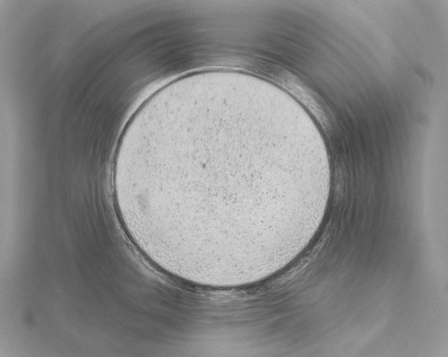 X0000115151436200912081337