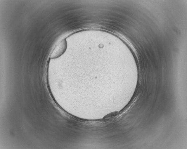 X0000115151437200912081337