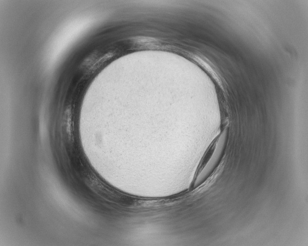 X0000115151438200912081337