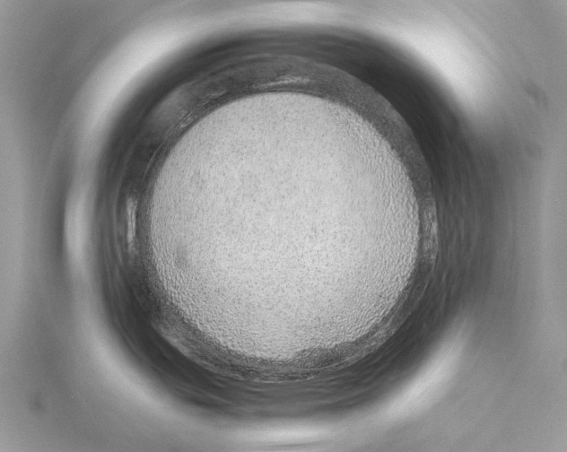 X0000115151439200912081337