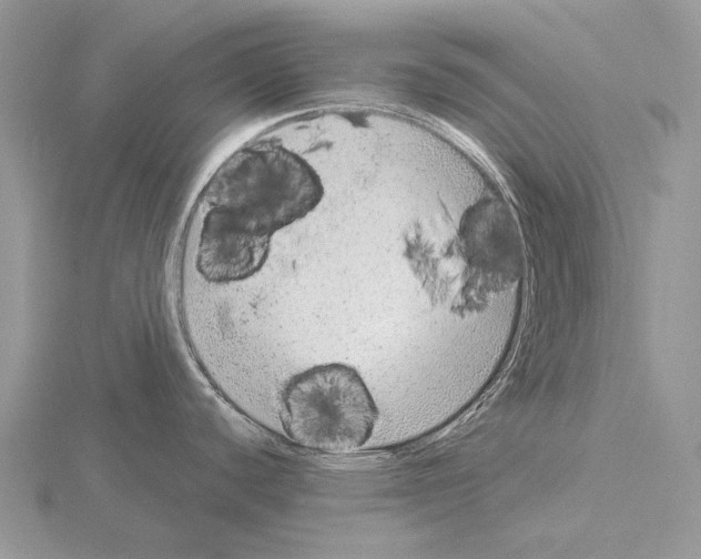 X0000115151440200912081337