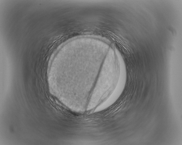 X0000115151441200912081337