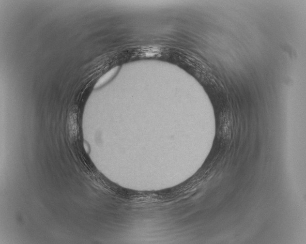 X0000115151442200912081337