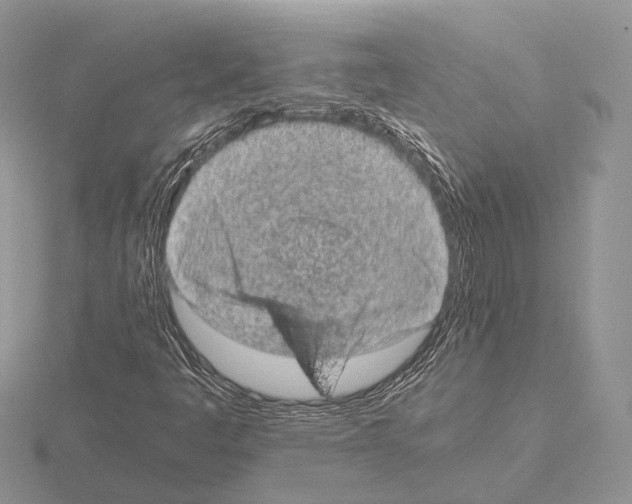 X0000115151445200912081337