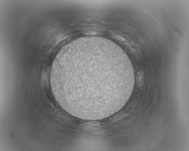 X0000115151446200912081337