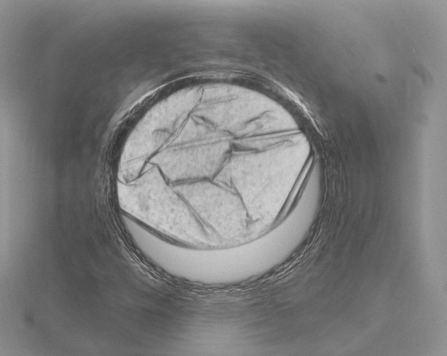 X0000115151448200912081337