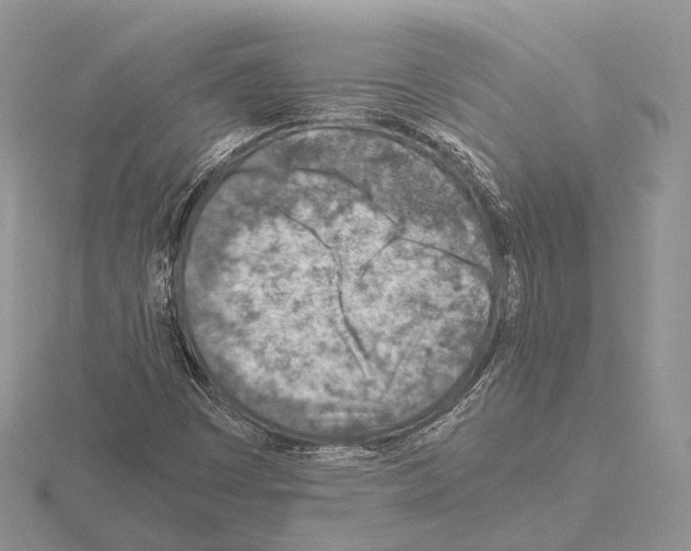 X0000115151449200912081337