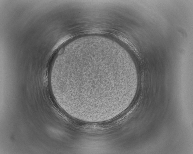 X0000115151450200912081337