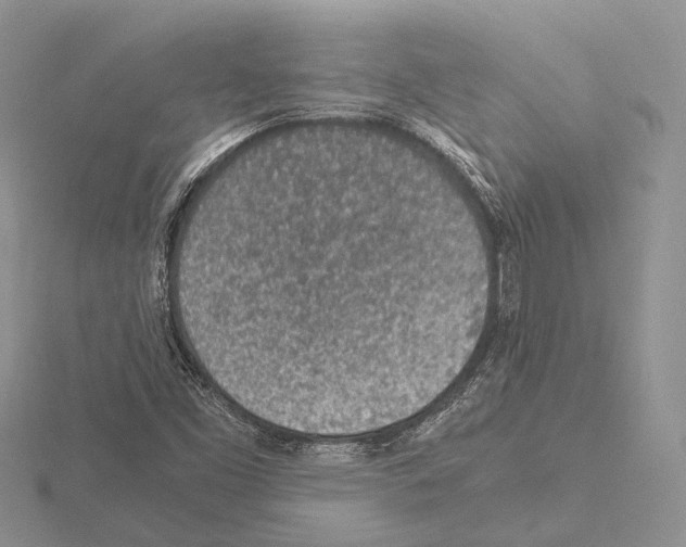 X0000115151453200912081336