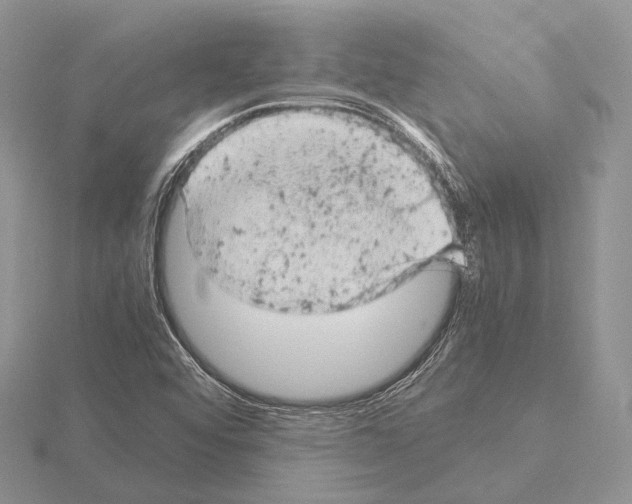 X0000115151456200912081336