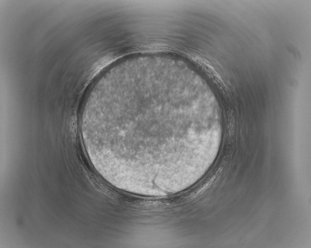 X0000115151457200912081336