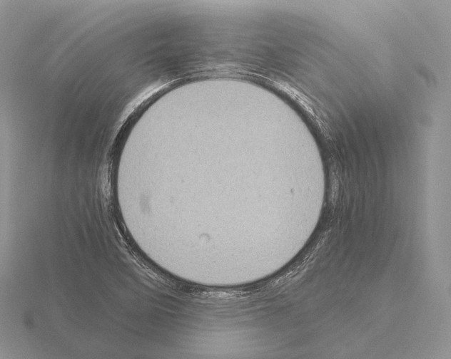 X0000115151458200912081336