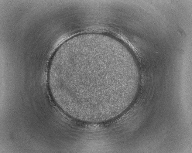 X0000115151459200912081336