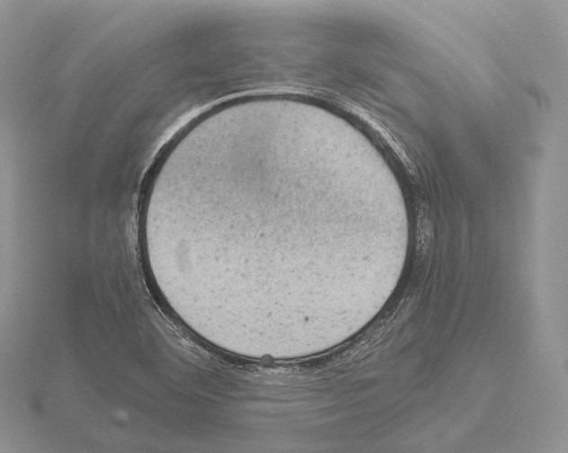 X0000115151460200912081336