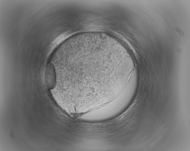 X0000115151461200912081336