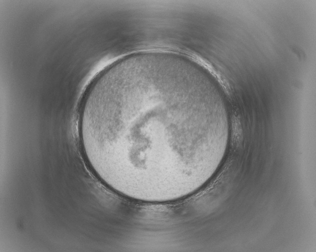 X0000115151462200912081336