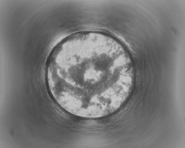 X0000115151463200912081336