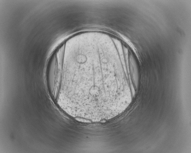 X0000115151464200912081336